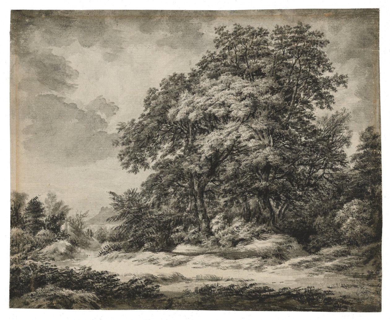 Lesní krajina (recto), asi 1838-1848 (tuš a wash na křídovém papíře) od Edward Lear