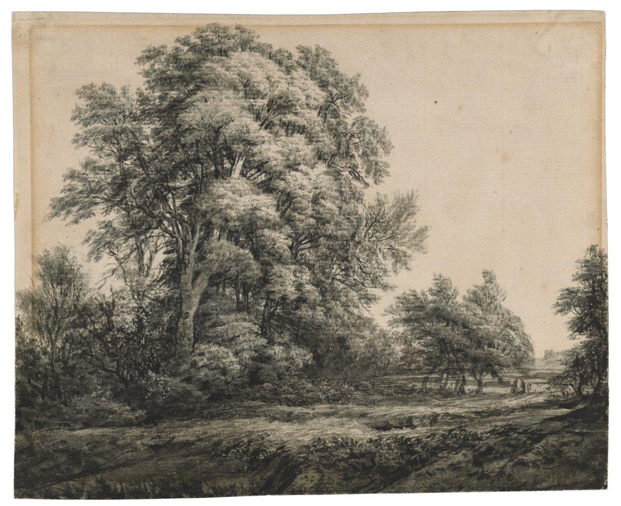Lesní krajina, asi 1838-1848 (tuš a lavírování na křídovém papíře) od Edward Lear