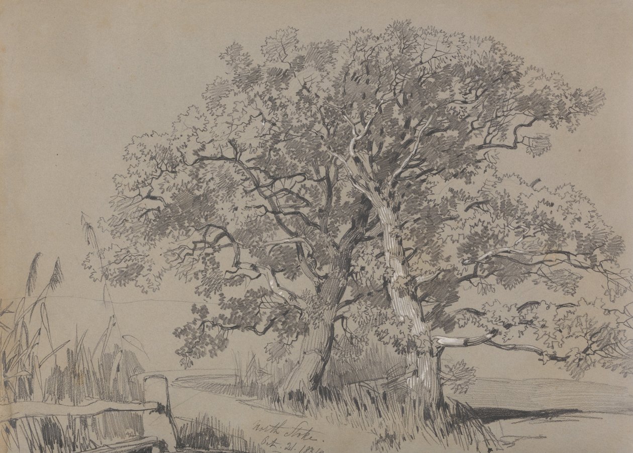 North Stoke. 21. října 1834. od Edward Lear