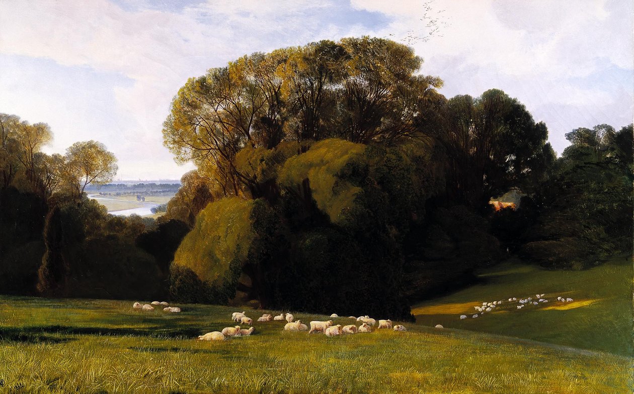 Nuneham od Edward Lear