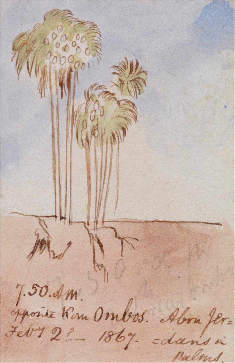 Naproti Kom Ombos Abu Jer od Edward Lear
