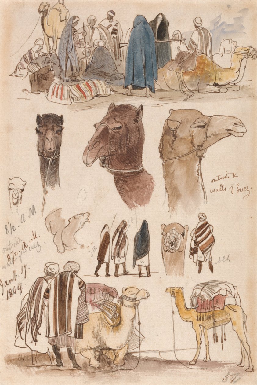 Mimo zdi Suezu, 8-30 hod., 17. ledna 1849 (54) od Edward Lear