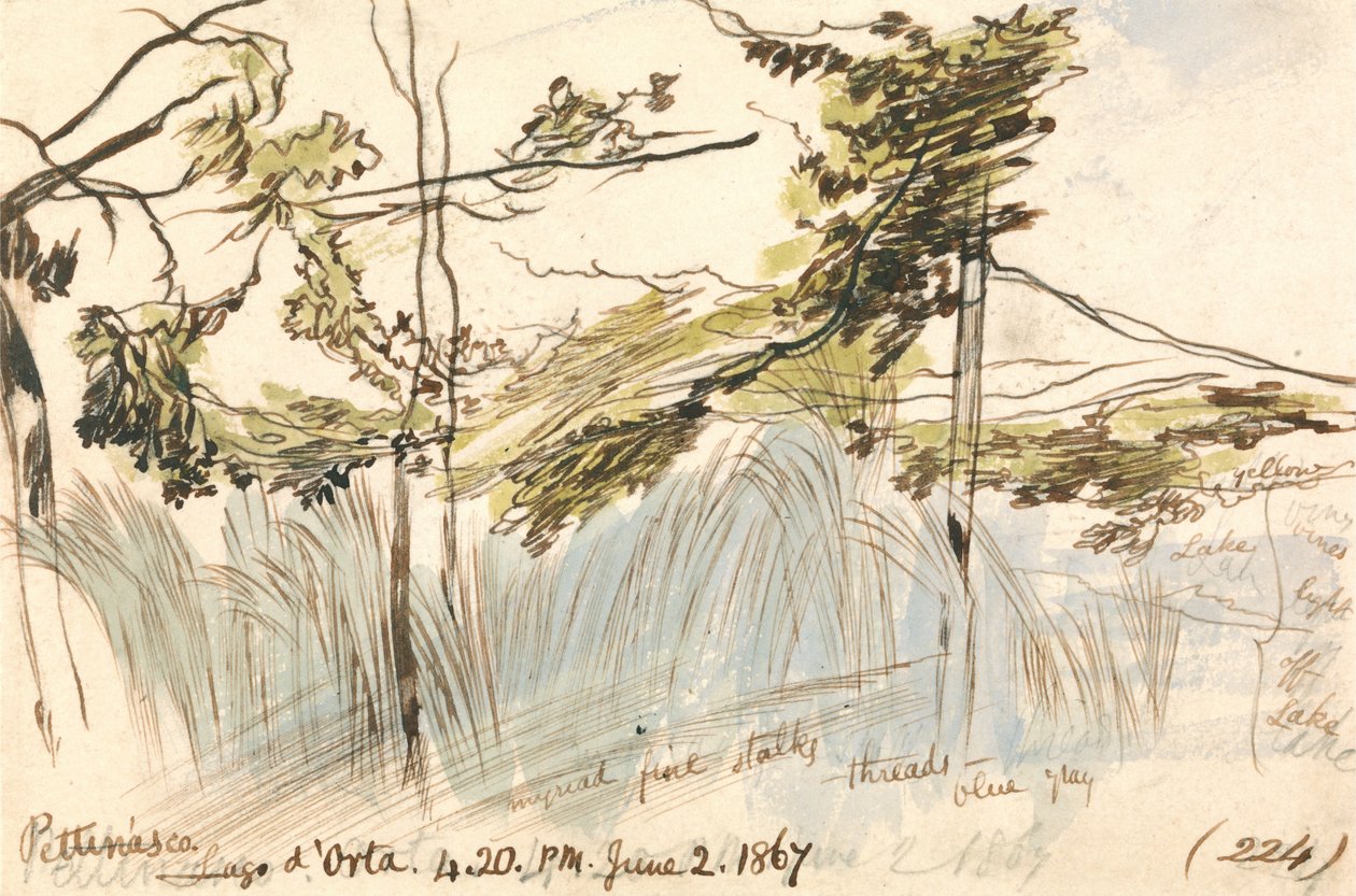 Pettenasco, Lago dOrta, 16:20, 2. června 1867 (224) od Edward Lear