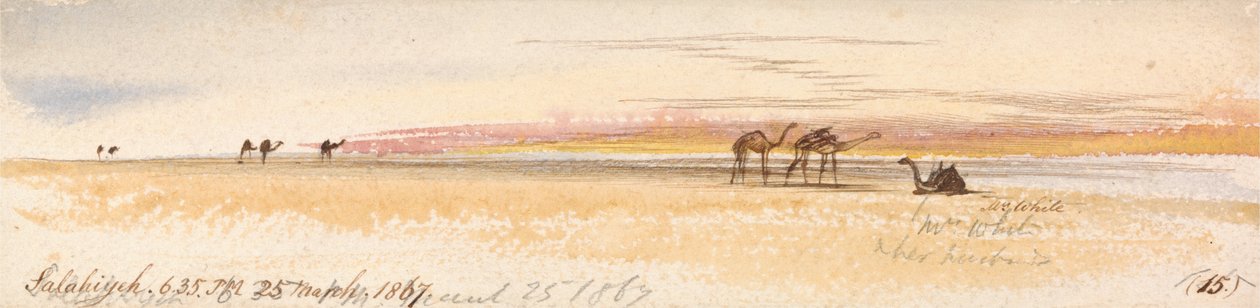 Salahiyeh od Edward Lear