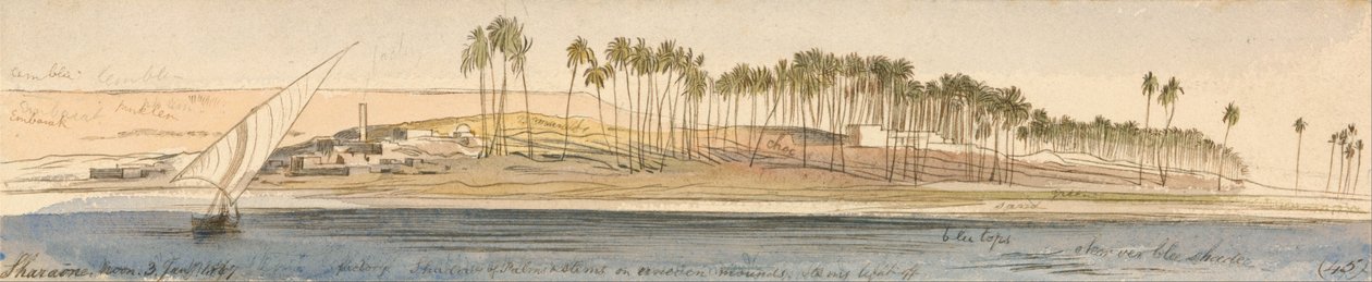 Sharve od Edward Lear