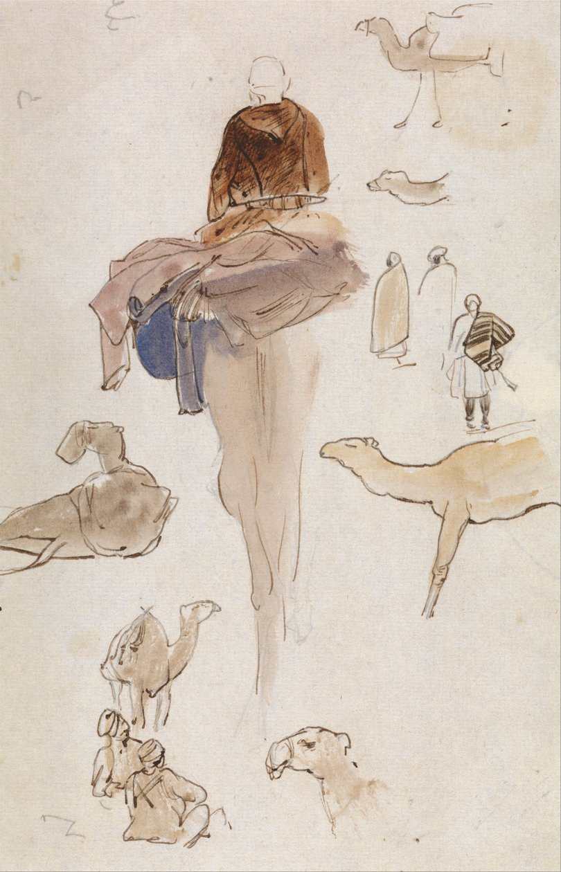 Studie velbloudů od Edward Lear