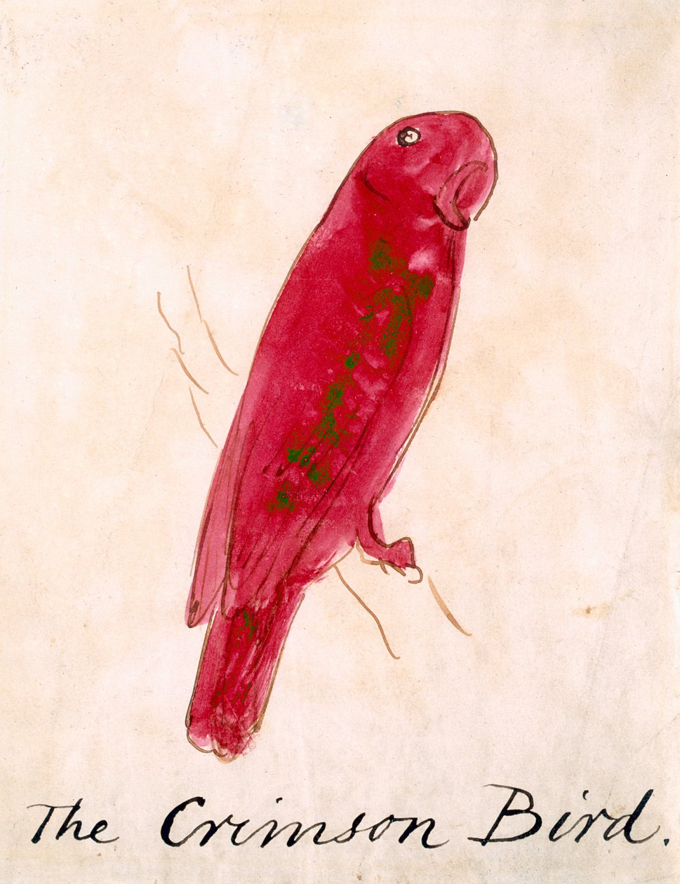Crimson Bird, z 