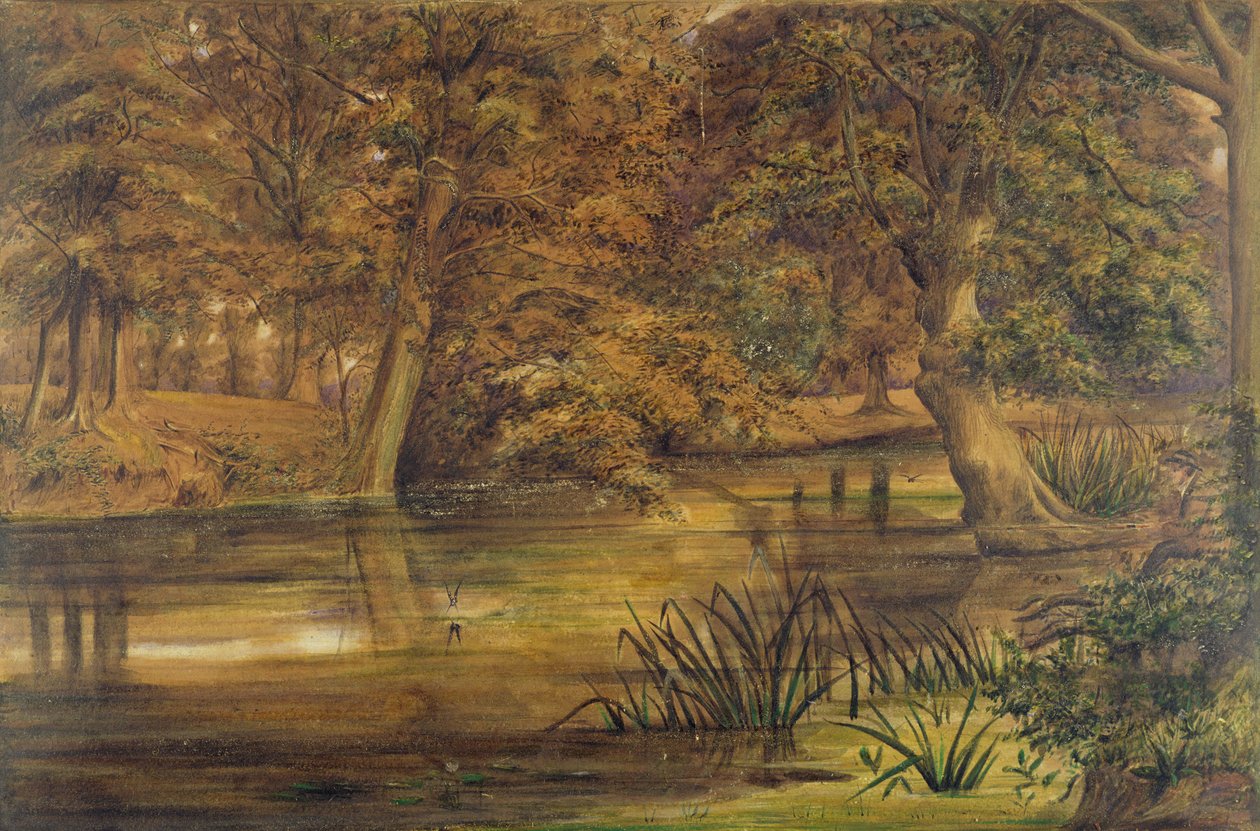 Back Water of the Bratford, 1864 (wc a tužka na papíře) od Edward W. Fitch