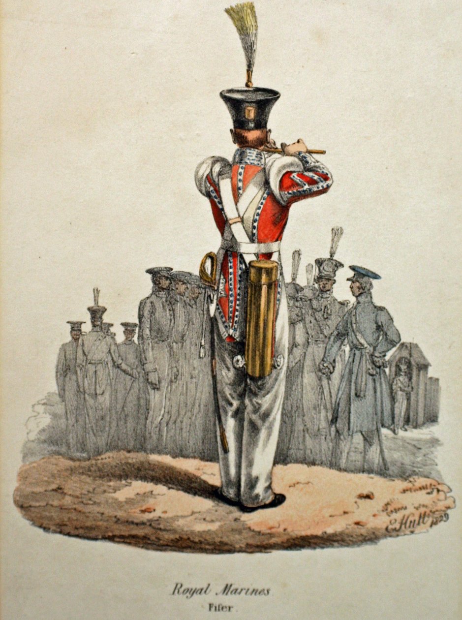 Royal Marines Fifer, kolem 1829 (ručně kolorované litho) od Edward (after) Hull