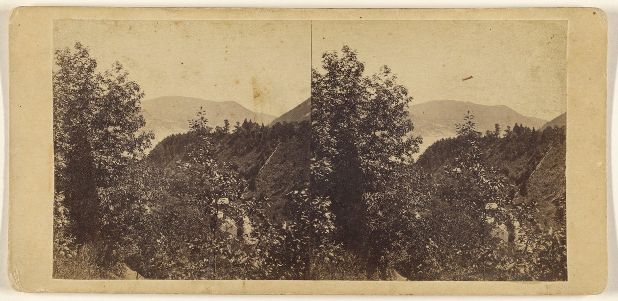 The Glen at Cornwall. od Edward Anthony