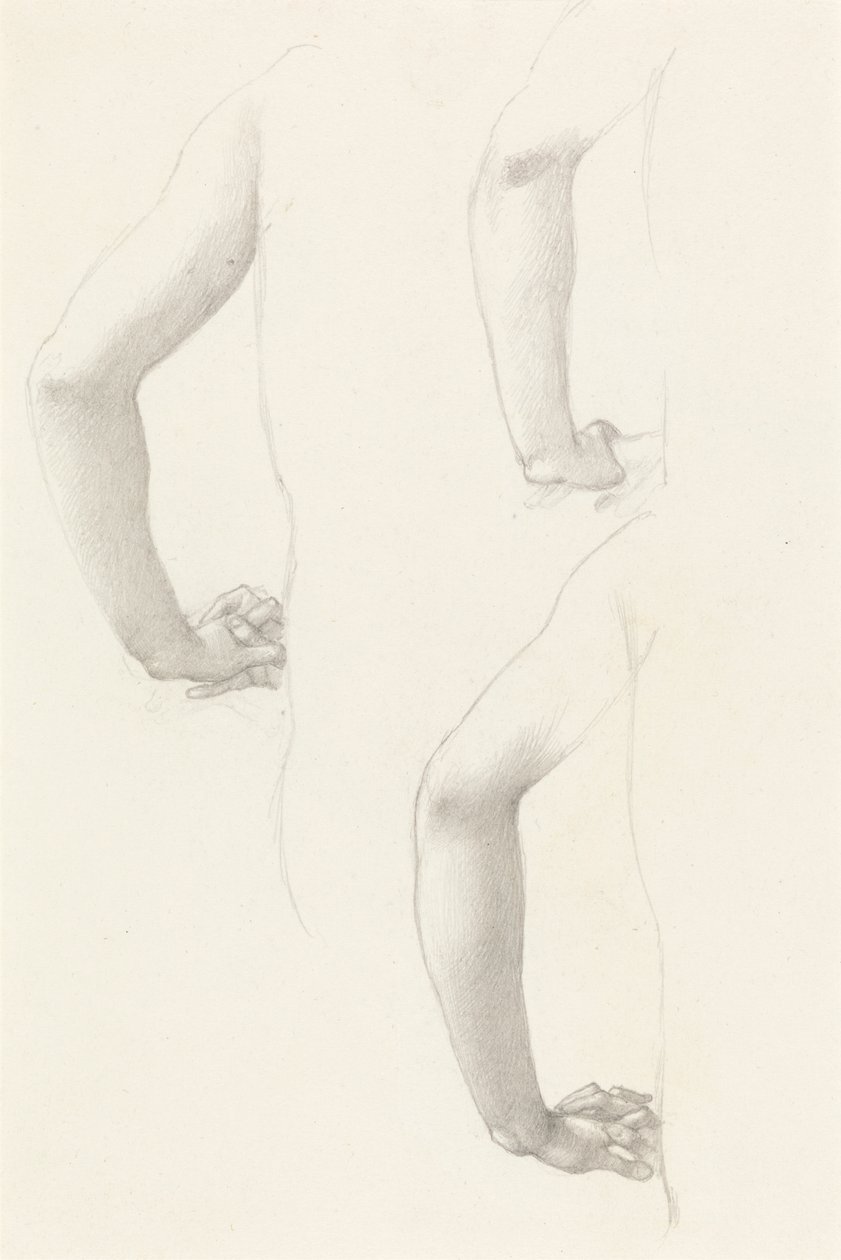Studie paží a rukou od Edward Burne Jones