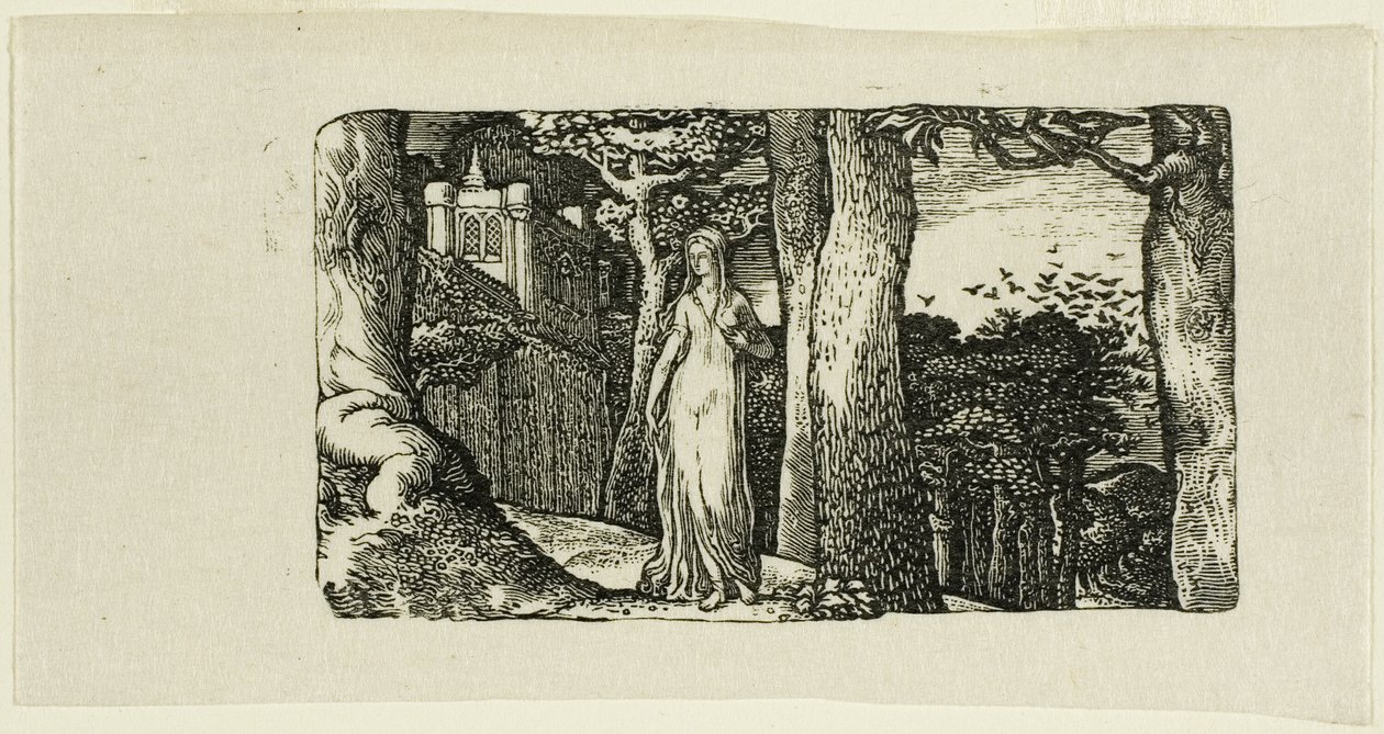 Dáma a věže od Edward Calvert