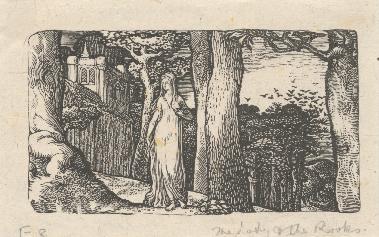 Dáma a věže od Edward Calvert