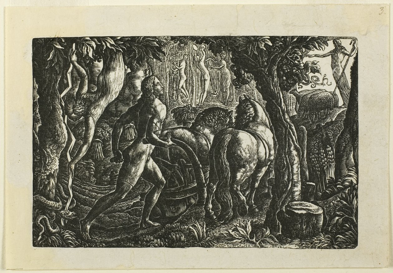 Oráč od Edward Calvert
