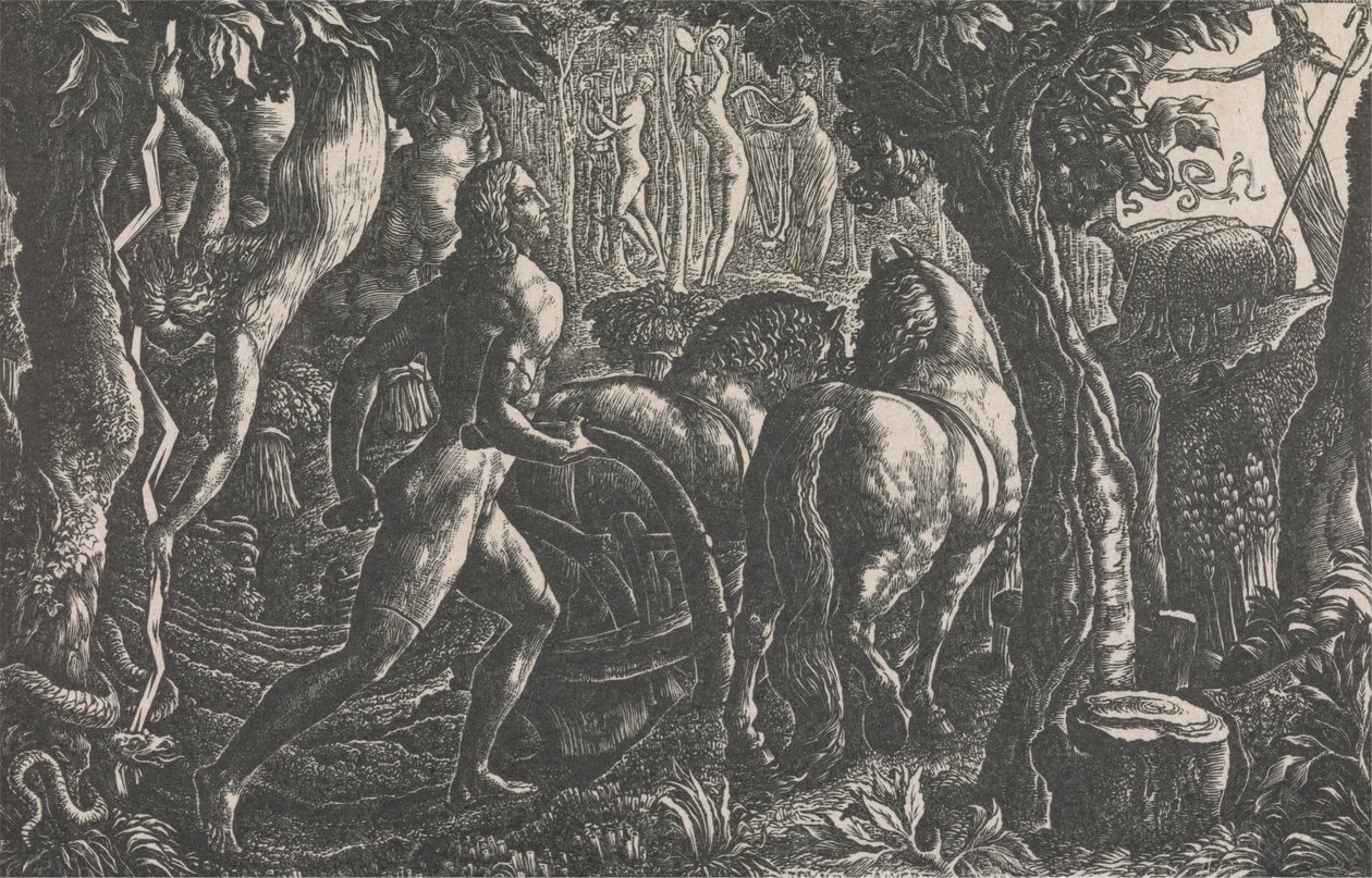 Oráč od Edward Calvert