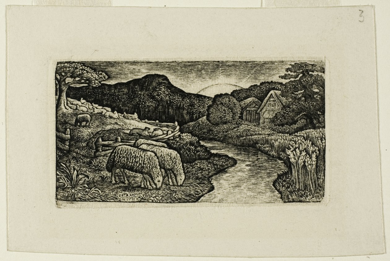 Ovce této pastviny od Edward Calvert