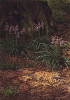zvonky od Edward Clifford