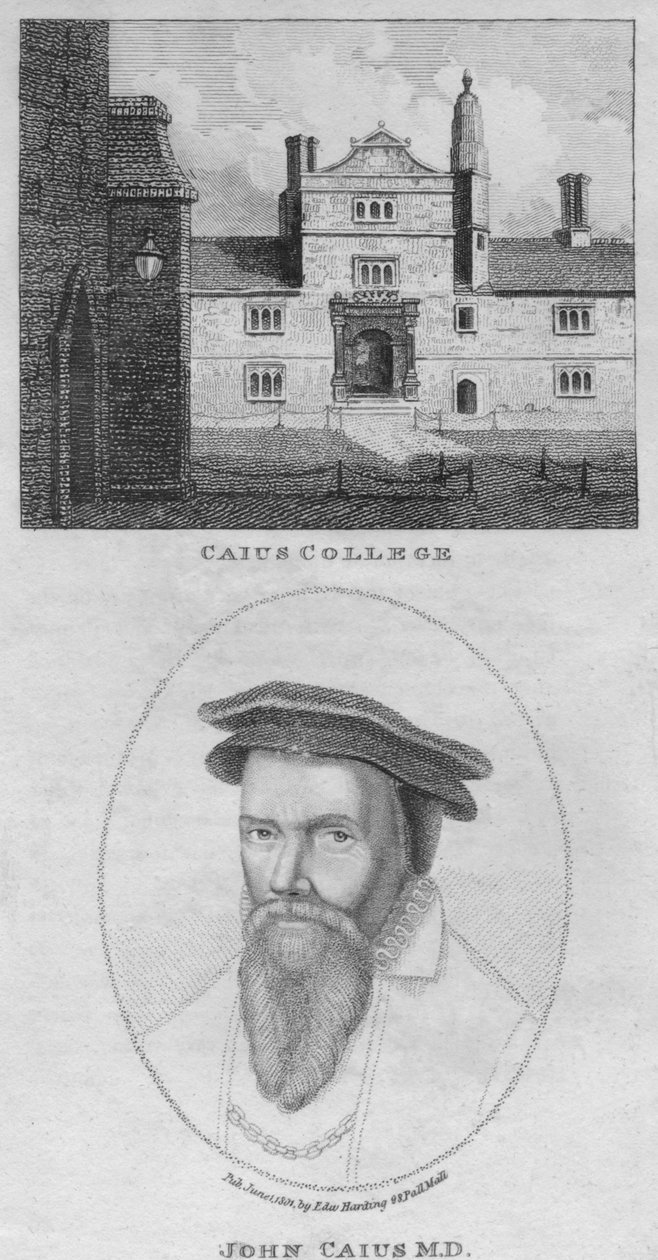 Caius College, John Caius M.D., 1801. od Edward Harding