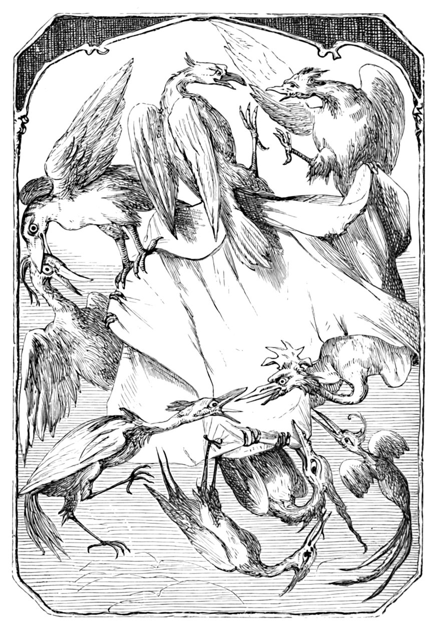 Oslí zelí, 1901 od Edward Henry Wehnert