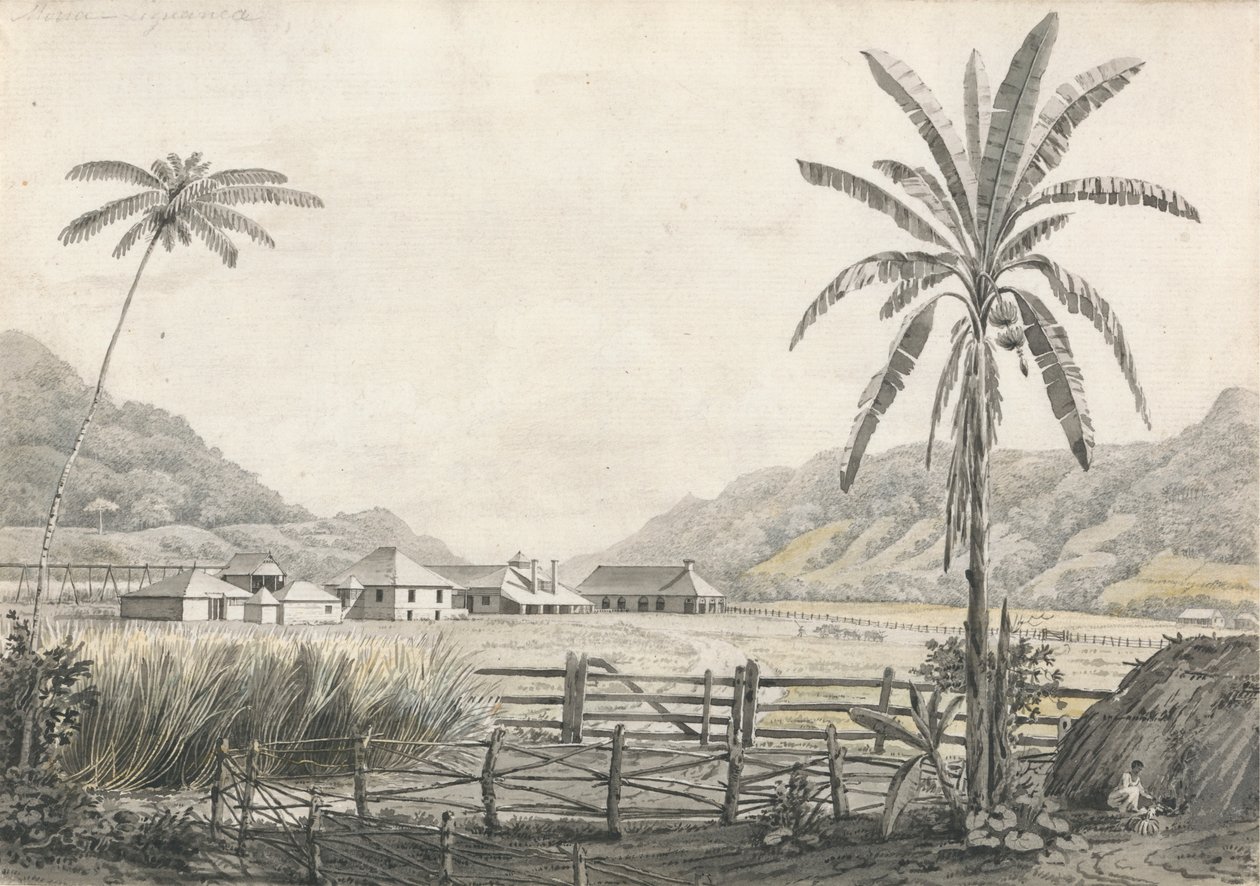Pohled na Hall-head Sugar Plantation, Jamajka od Edward Kennion