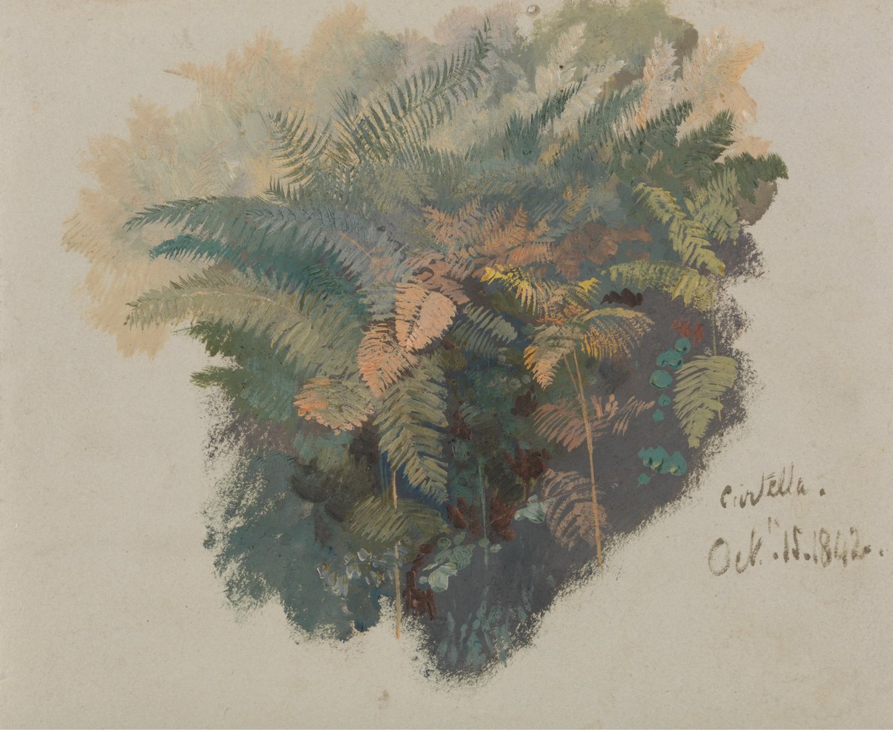 Studie kapradin, Civitella od Edward Lear