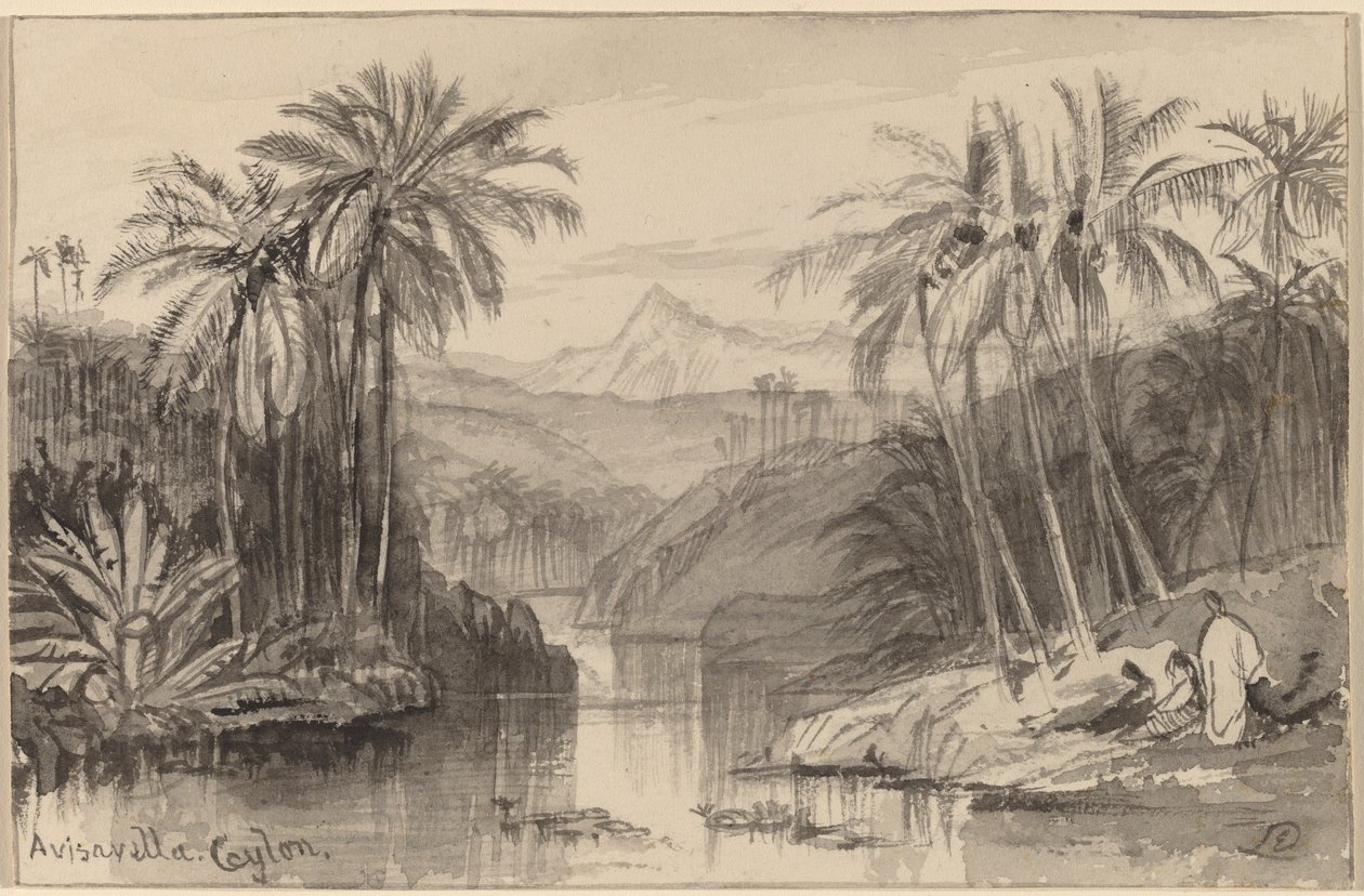 Avisavella, Cejlon od Edward Lear