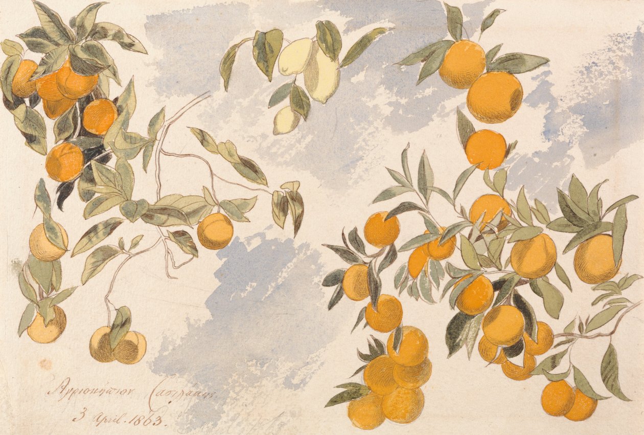 Ovocné stromy, 3. dubna 1863 od Edward Lear