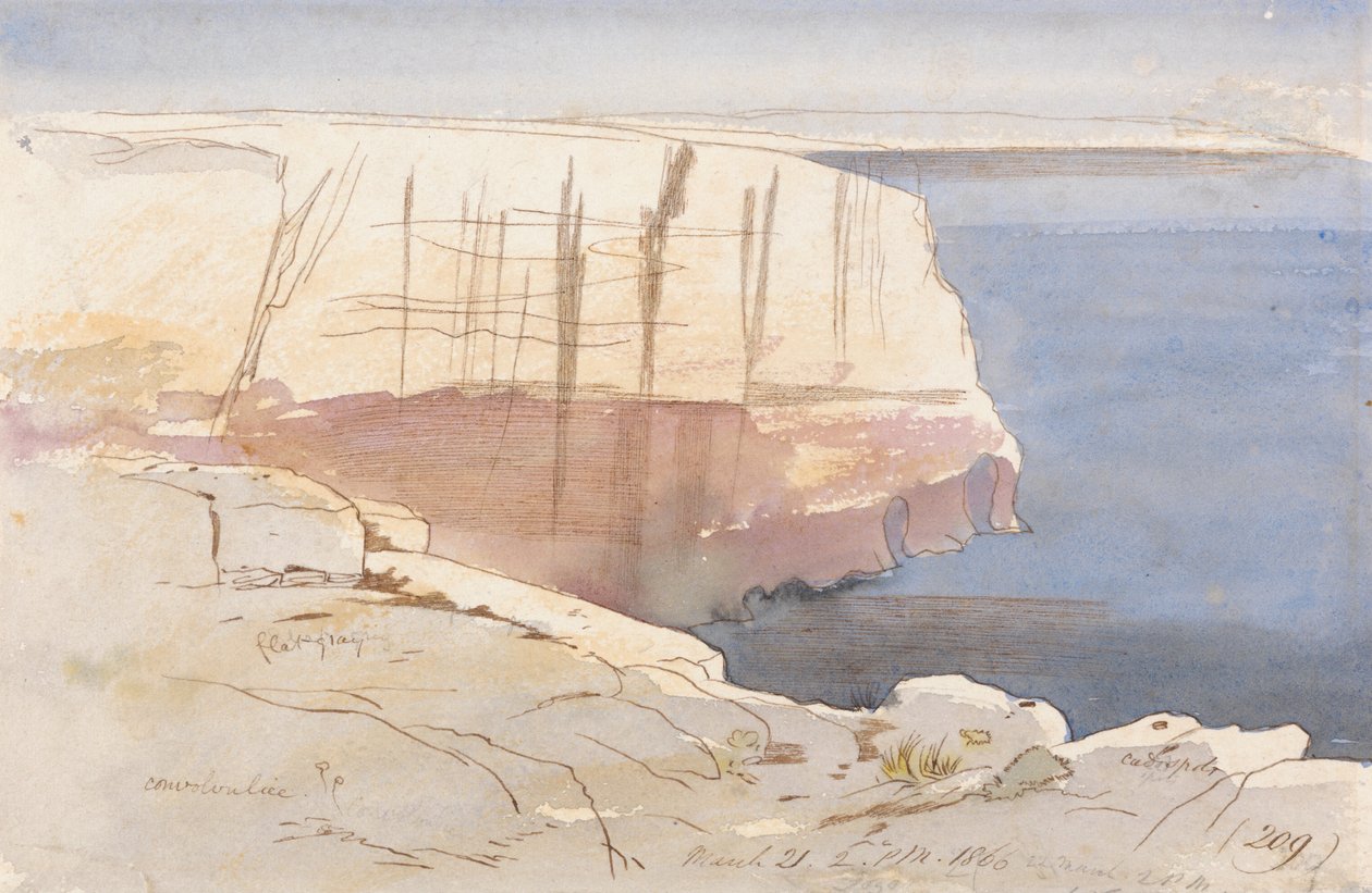 Gozo, poblíž Malty od Edward Lear