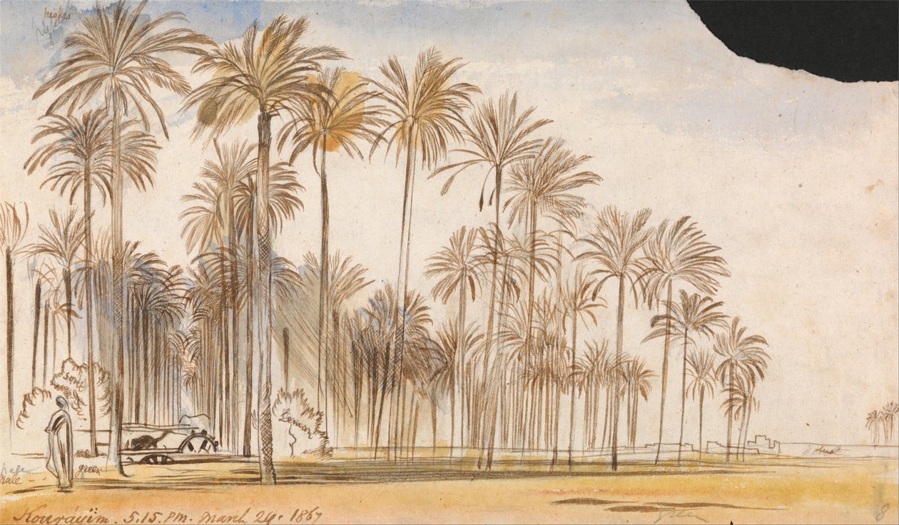 Kourayim od Edward Lear