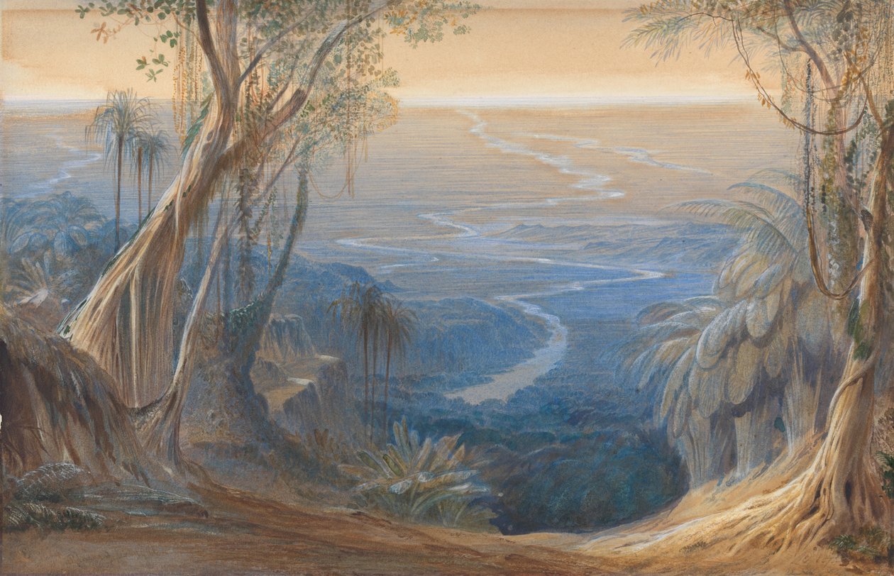 Bengálské pláně, shora Siligoree od Edward Lear
