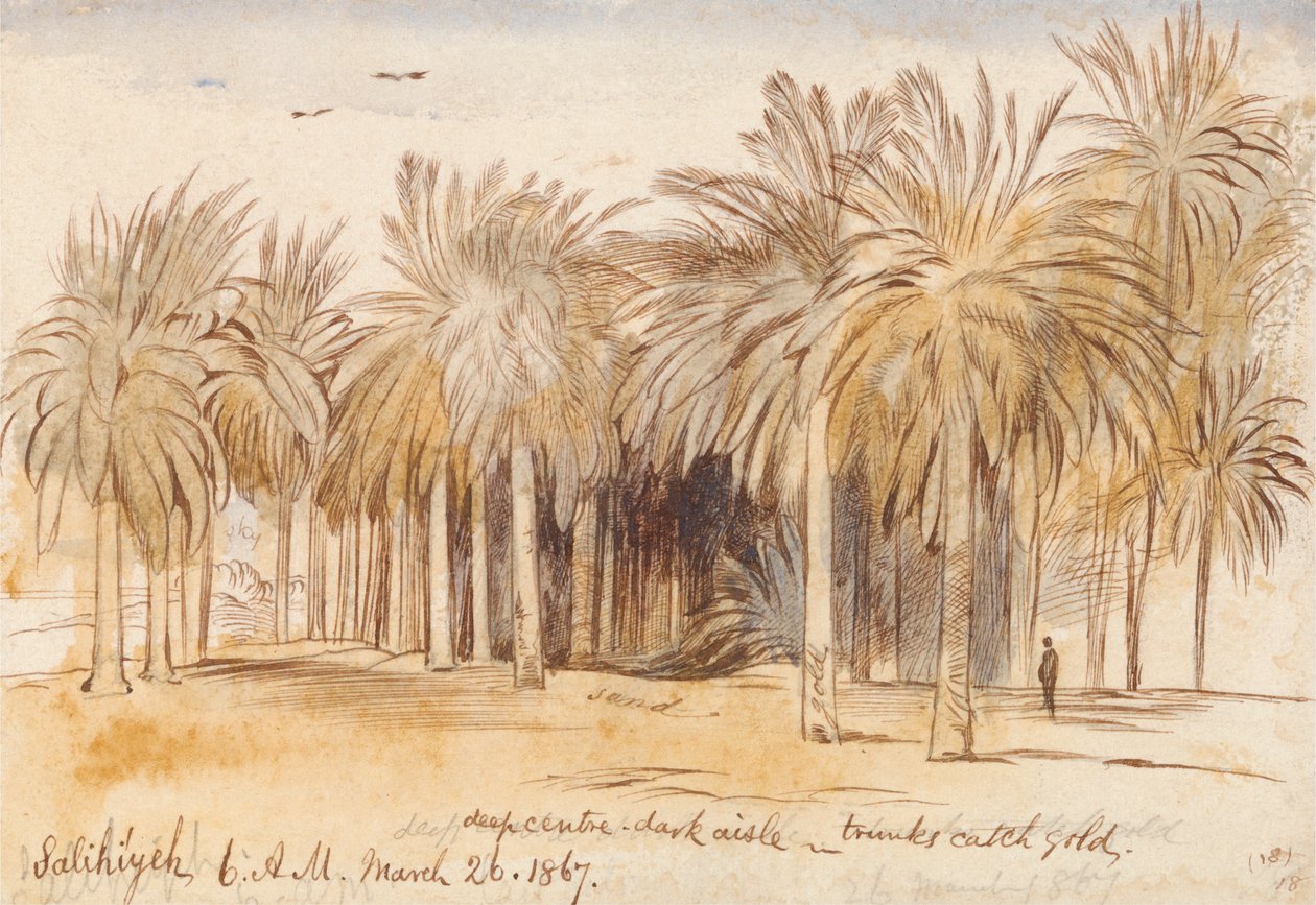 Salahiyeh od Edward Lear