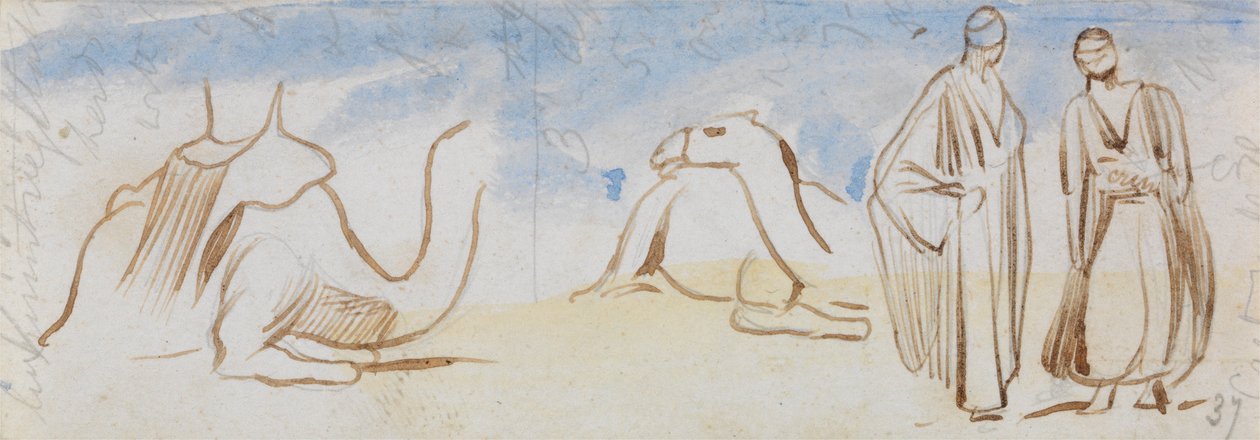 Studie velbloudů a egyptských mužů od Edward Lear