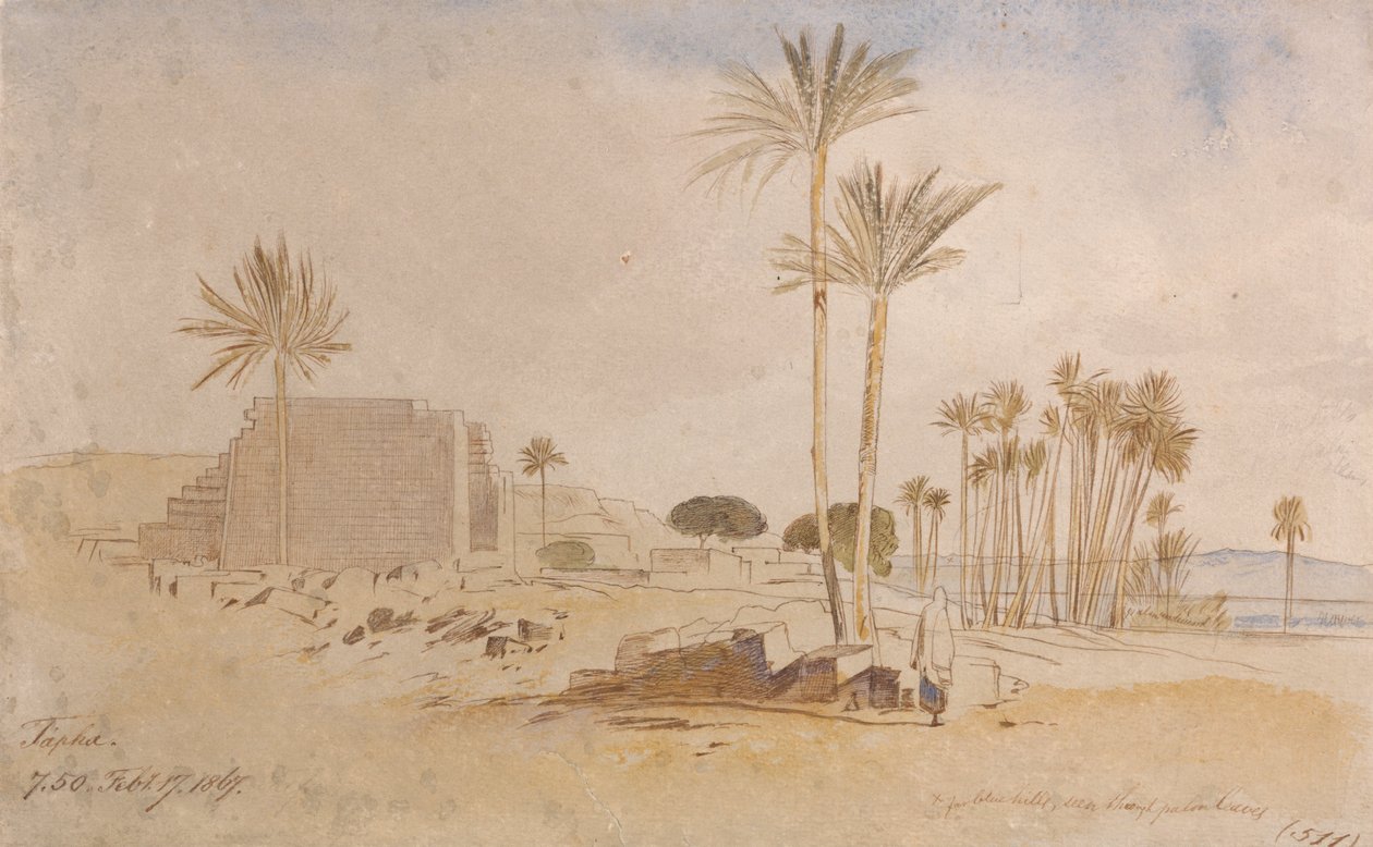 Tapha, 7:50, 17. února 1867 od Edward Lear