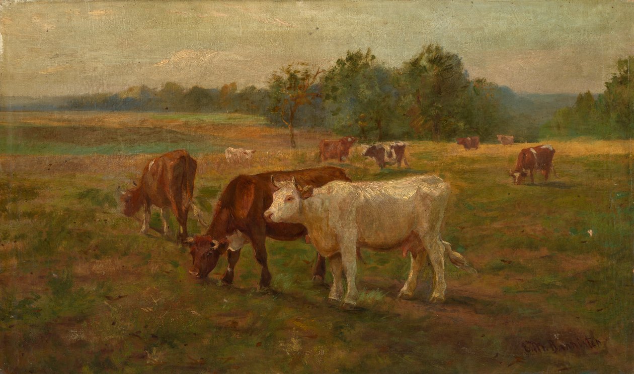 Krávy, n.d. od Edward Mitchell Bannister
