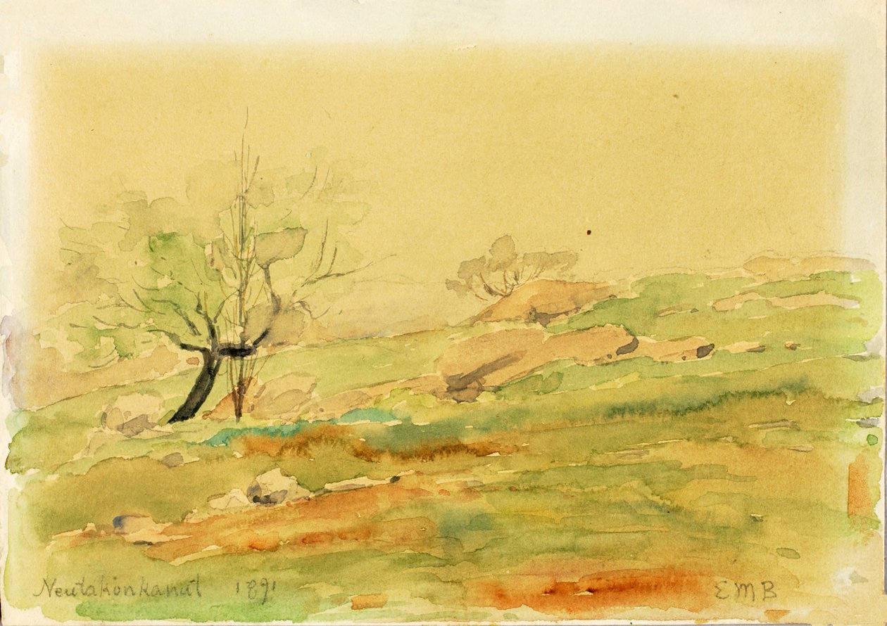 Neutaconcanut, 1891. od Edward Mitchell Bannister