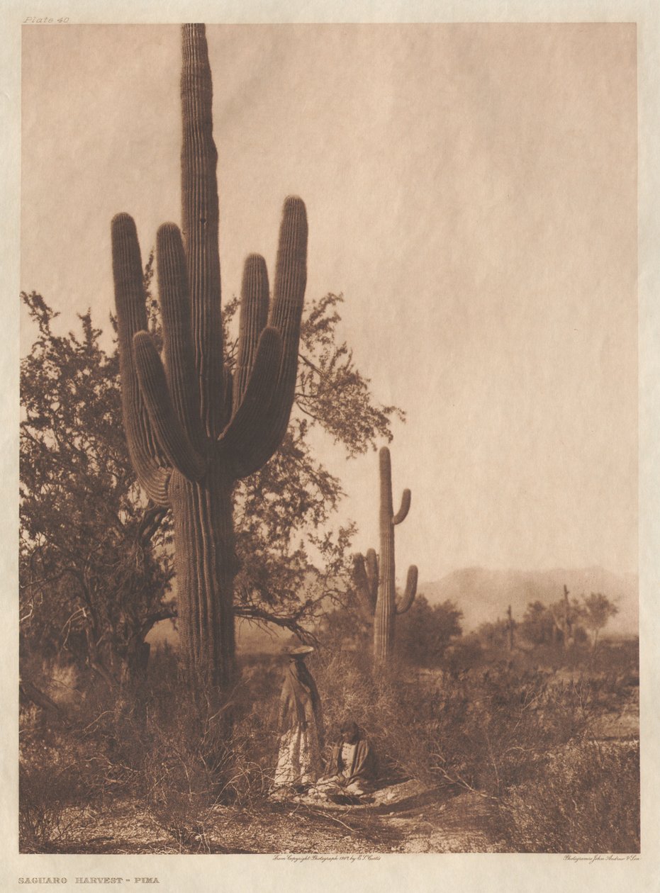 Portfolio II, desky 40-75 od Edward S. Curtis