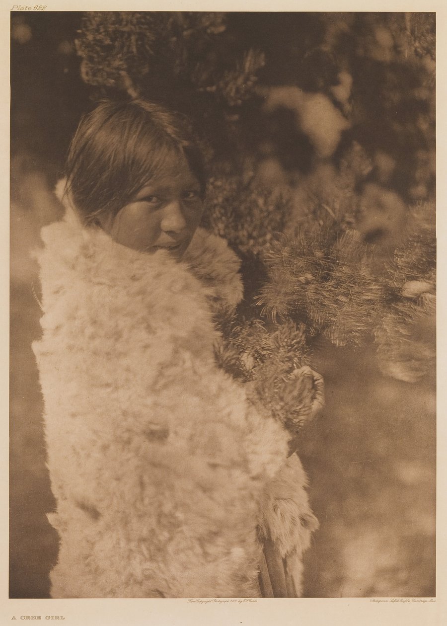 Dívka z kmene Cree od Edward Sheriff Curtis