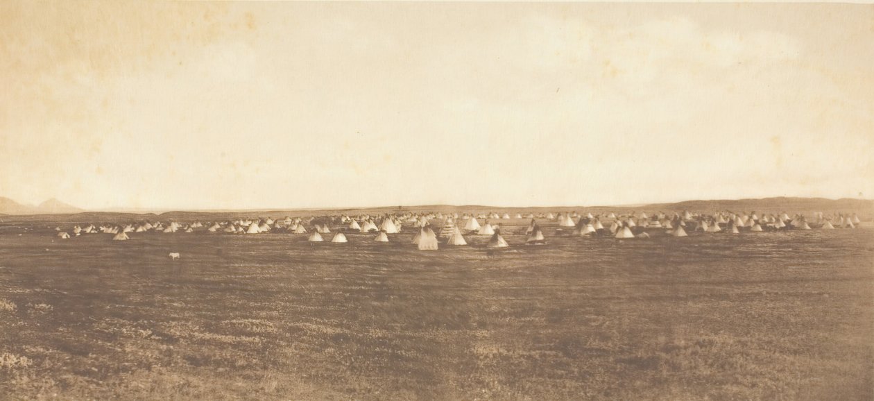 Tábořiště Sun Dance - Piegan, 1900. od Edward Sheriff Curtis