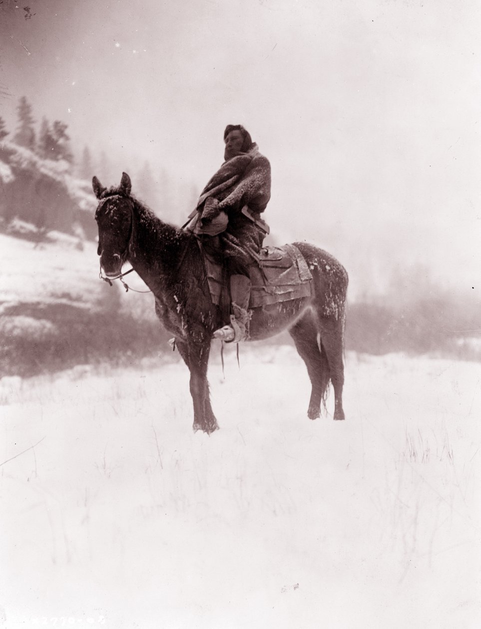 Skaut v zimě, Apsaroke od Edward Sheriff Curtis