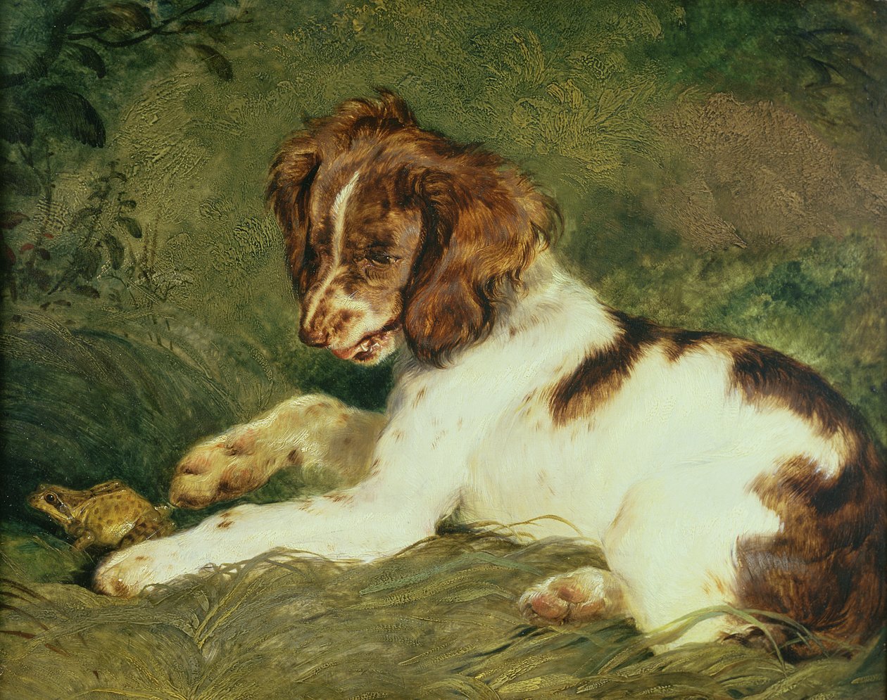 Štěně škádlí žábu, 1824 (panel) od Edwin Landseer