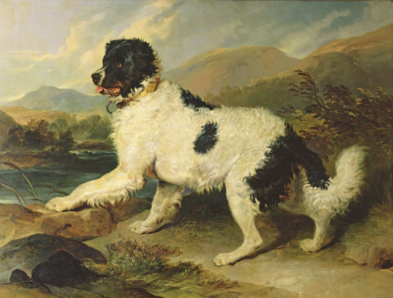 Novofundlandský pes jménem lev, 1824 od Edwin Landseer