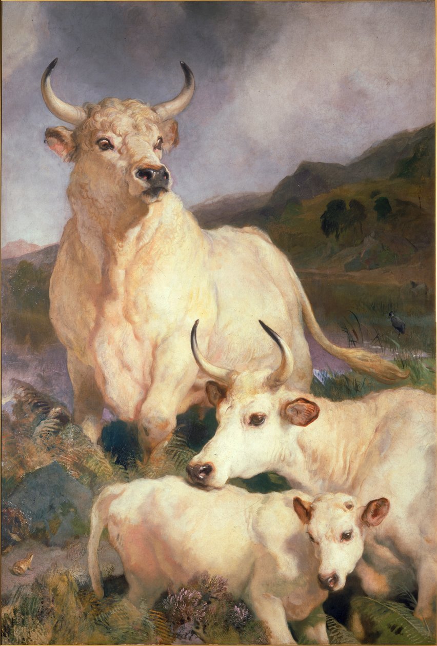 Divoký dobytek z Chillinghamu, Northumberland, kolem roku 1867 od Edwin Landseer