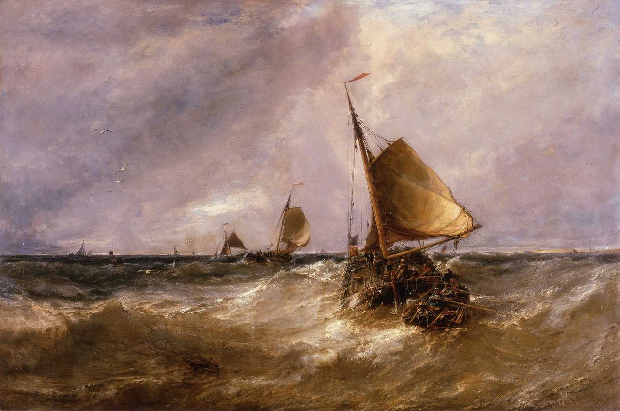 holandské růžové od Edwin Hayes