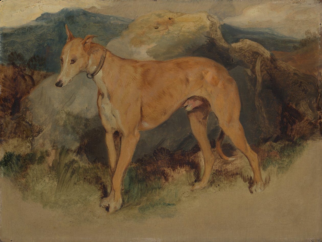 Deerhound, 1826. od Edwin Landseer