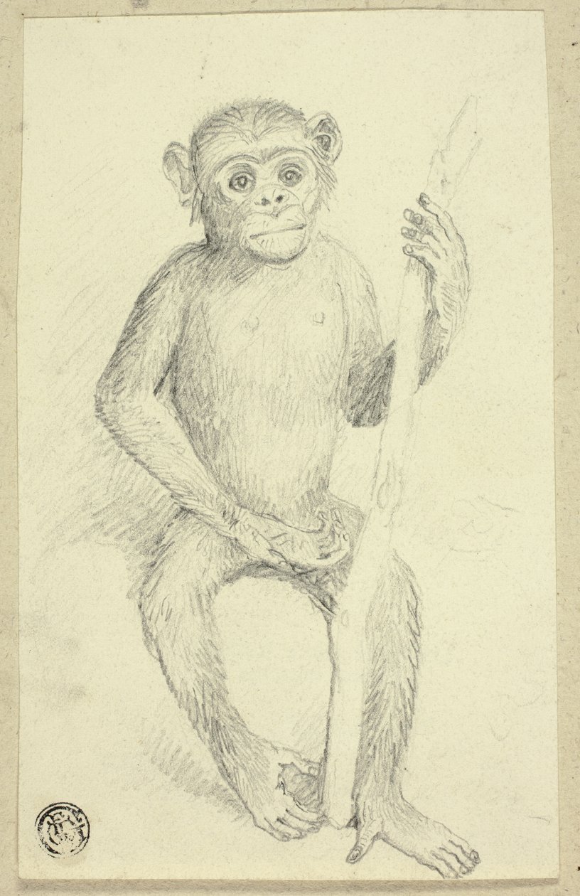 Orangutan od Edwin Henry Landseer