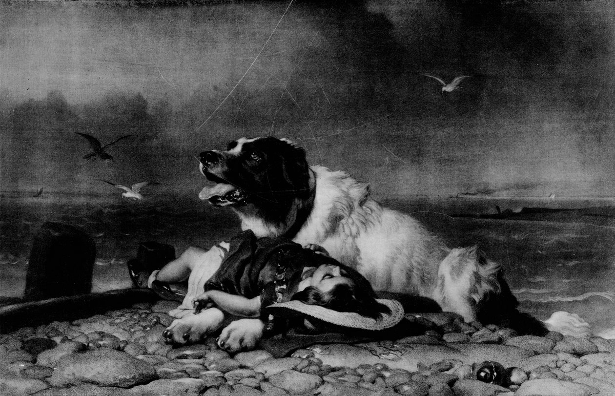 Zachráněno!, c1856, 1911 od Edwin Landseer