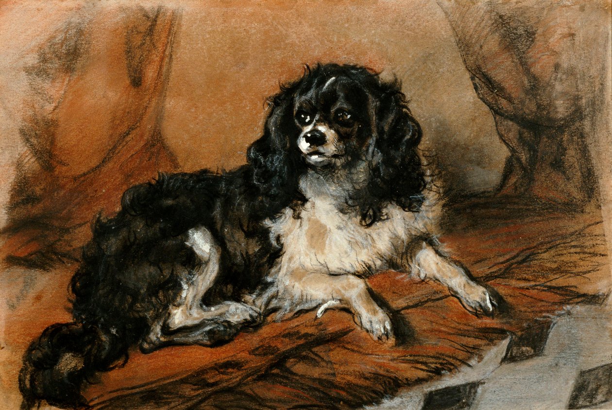 King Charles španěl od Edwin Landseer
