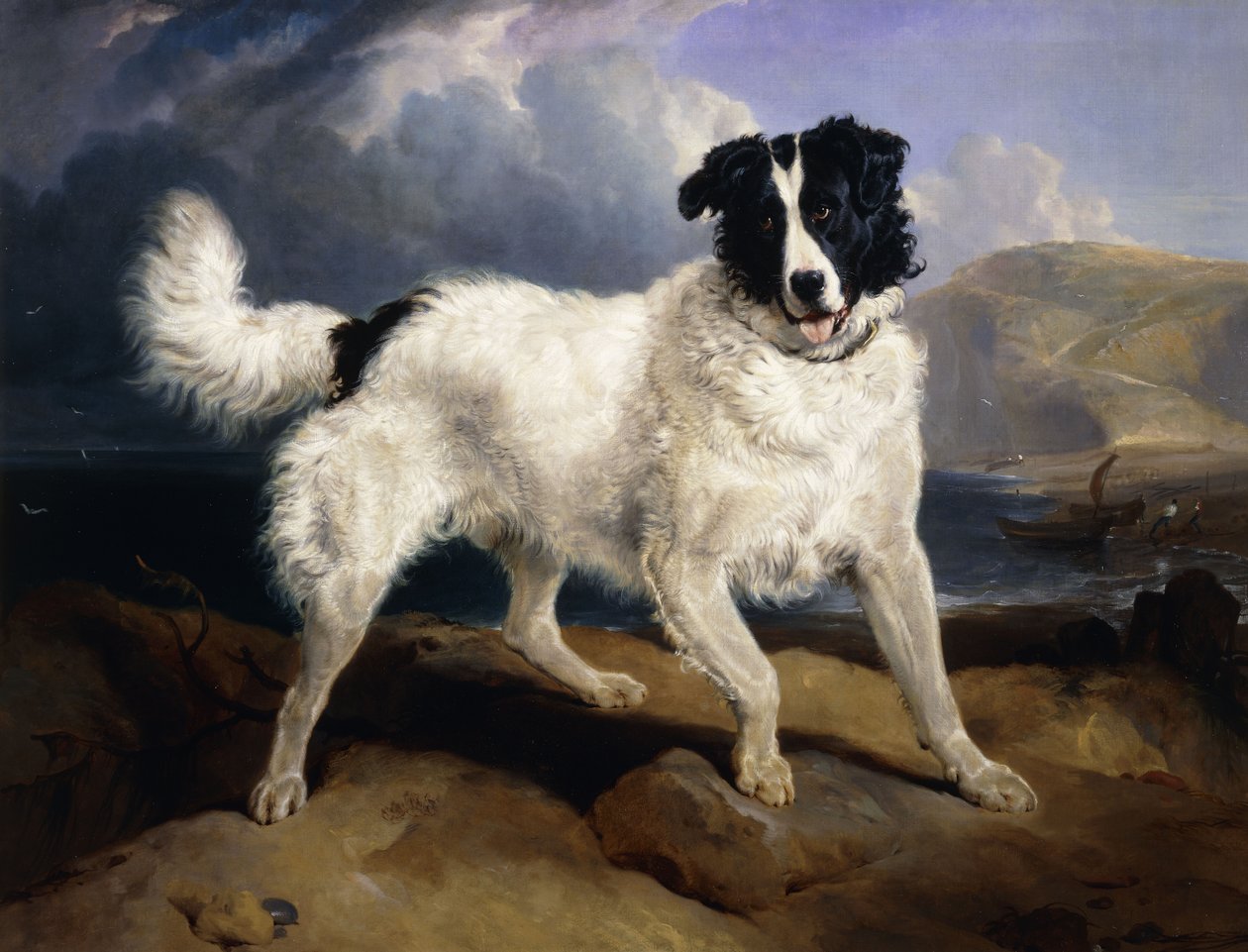 Portrét Neptuna, 1824 od Edwin Landseer