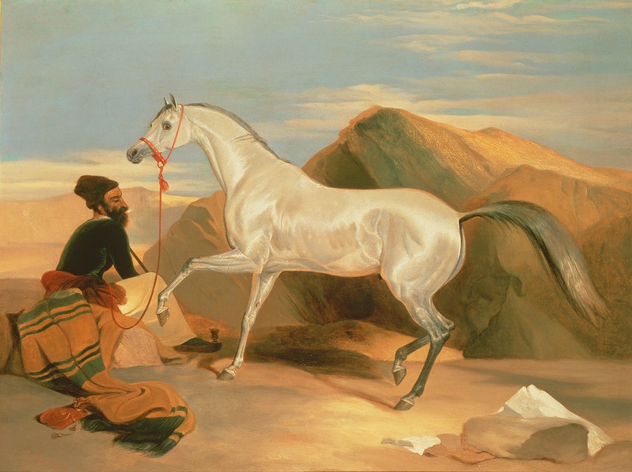 Arabský hřebec od Edwin Landseer