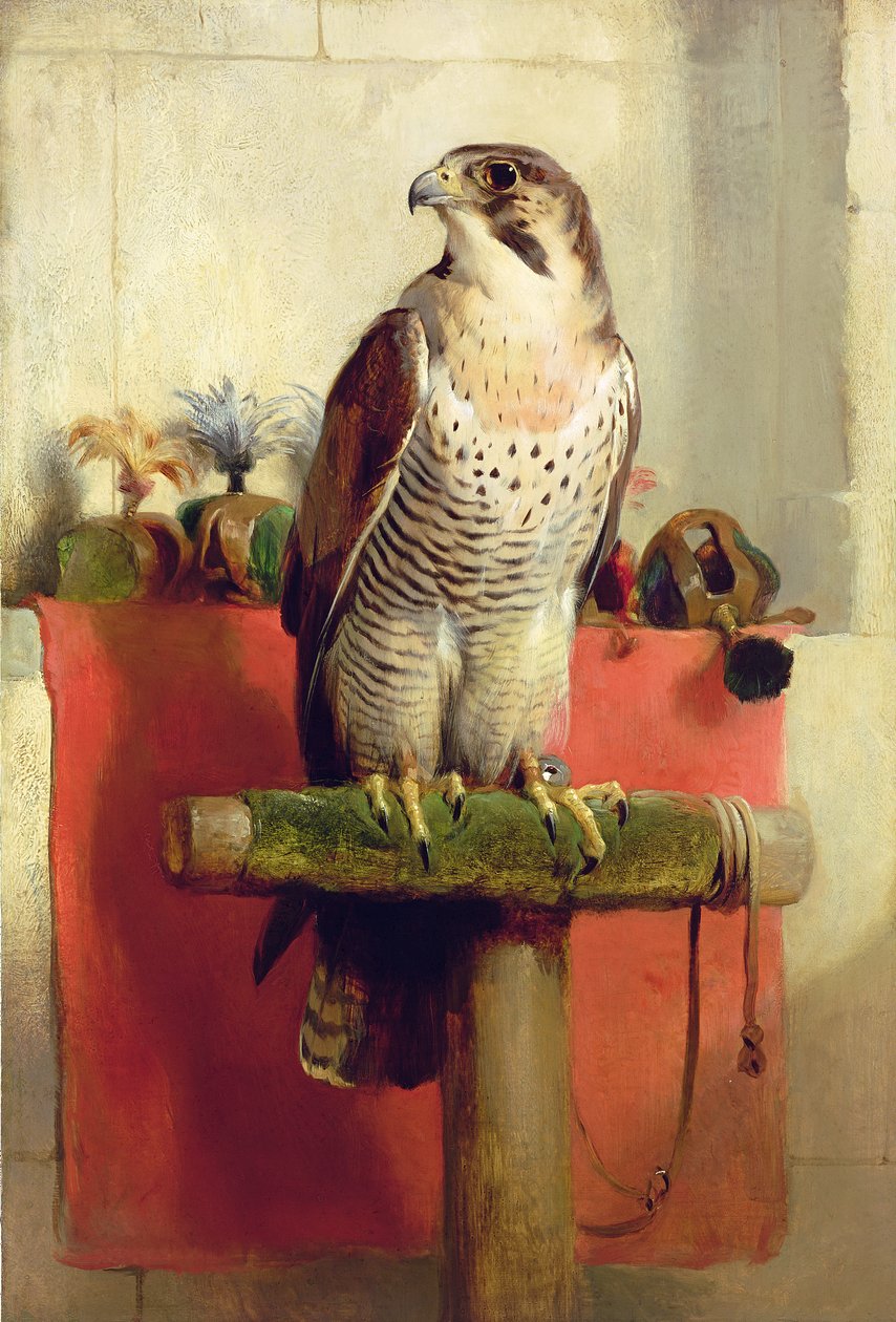 Falcon, 1837 od Edwin Landseer